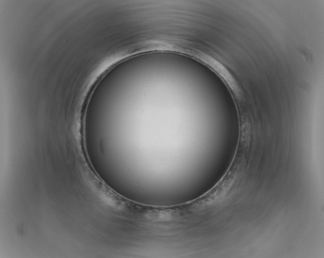 X0000112351051200908131424