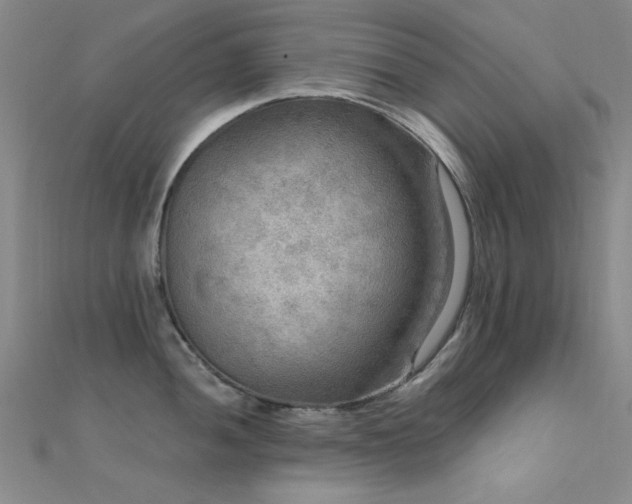 X0000112351052200908131424