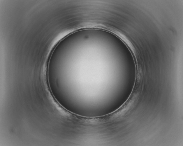 X0000112351053200908131424