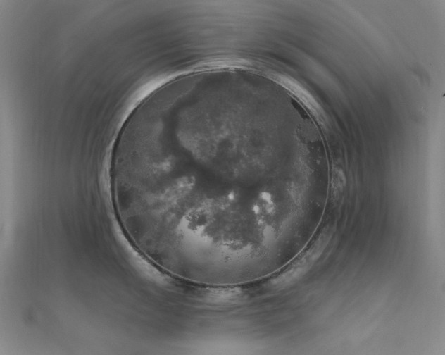 X0000112351055200908131424