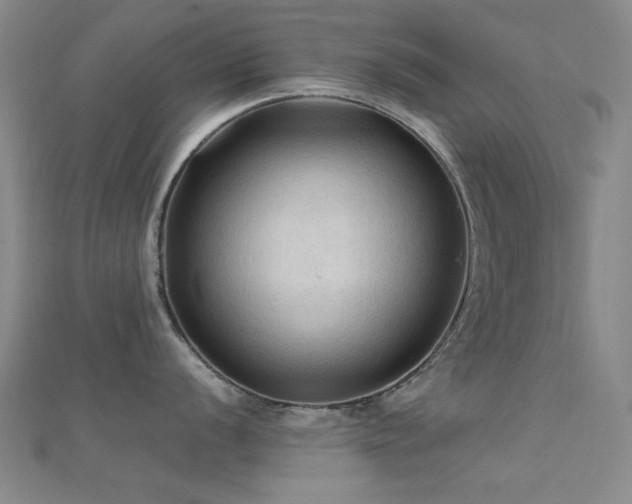 X0000112351056200908131424