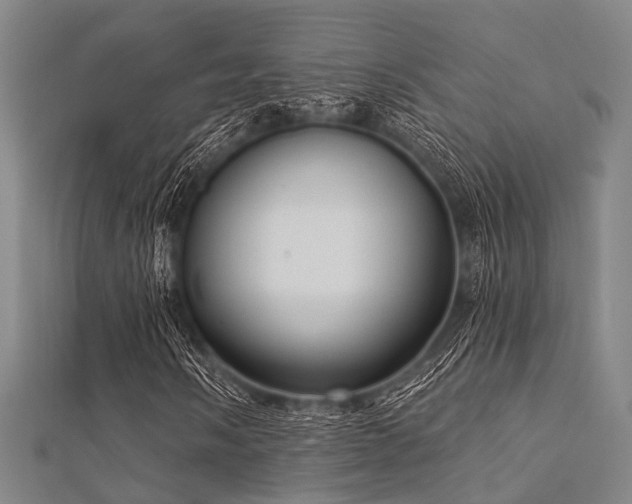X0000112351058200908131423