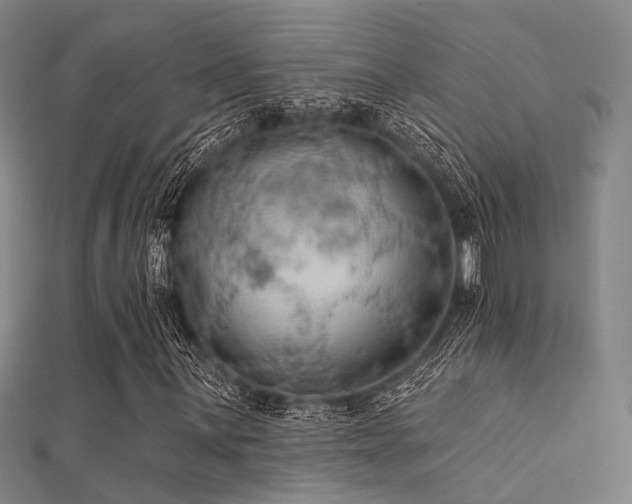 X0000112351059200908131423