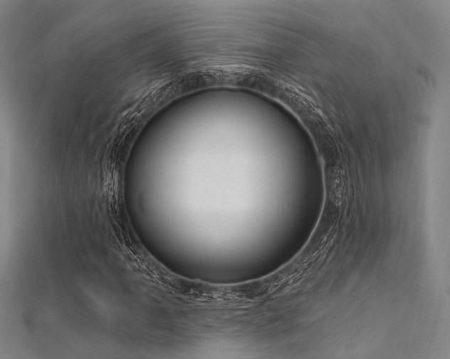 X0000112351061200908131423
