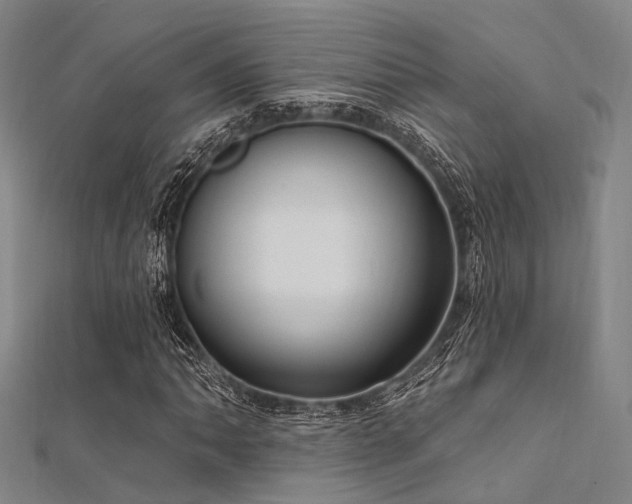 X0000112351062200908131423
