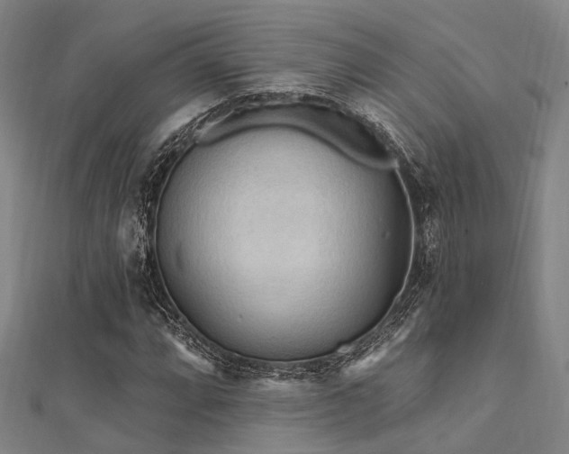 X0000112351064200908131423