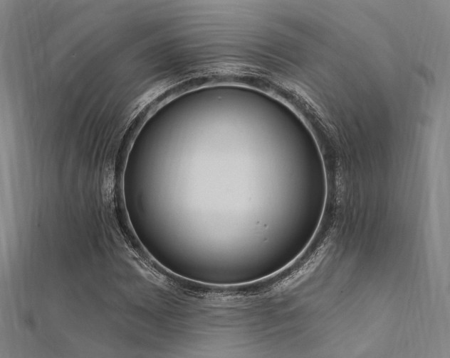 X0000112351065200908131423