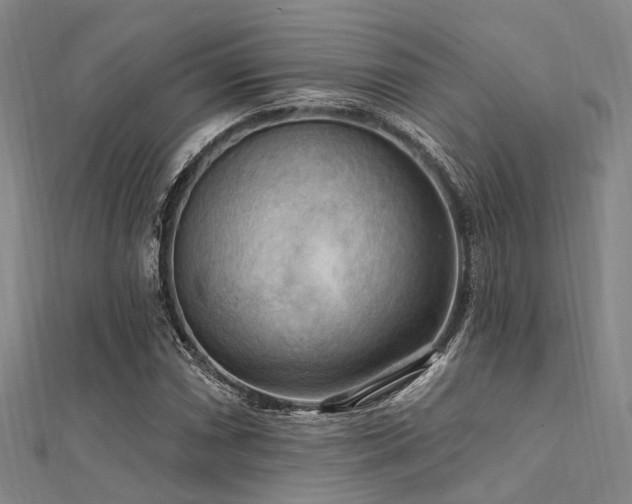 X0000112351066200908131423