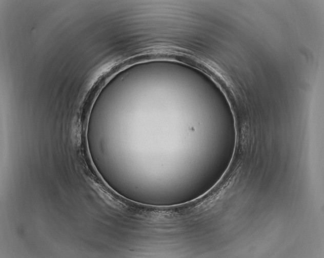 X0000112351067200908131423
