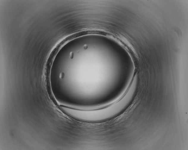 X0000112351068200908131423