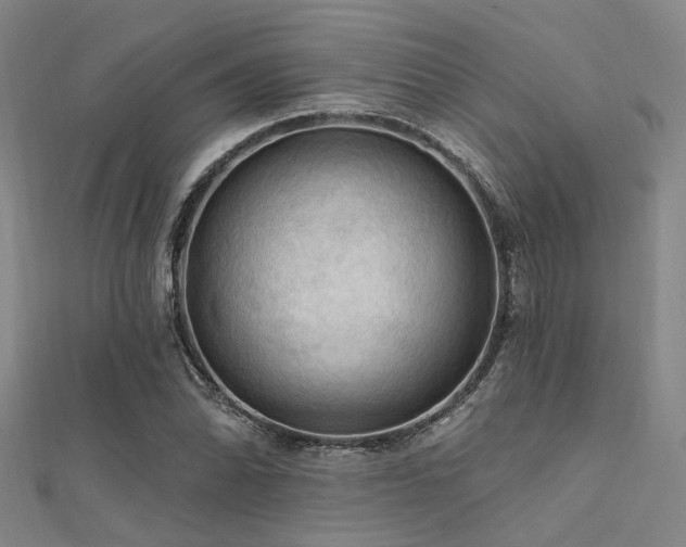 X0000112351070200908131423