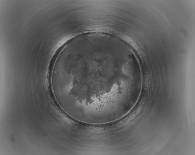 X0000112351071200908131423