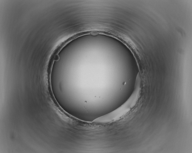 X0000112351072200908131423