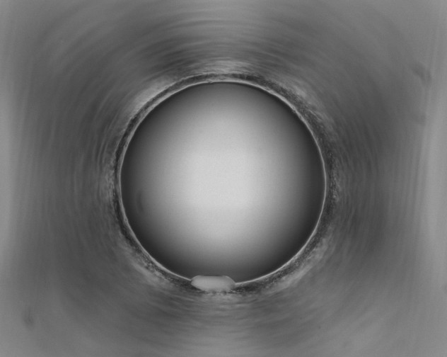 X0000112351073200908131423