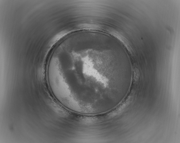 X0000112351074200908131423