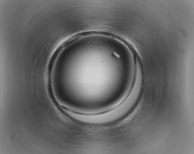 X0000112351077200908131423