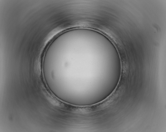 X0000112351078200908131423