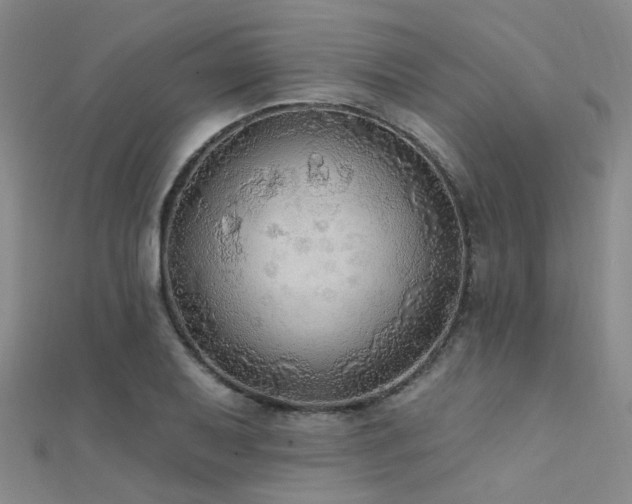 X0000112351079200908131423