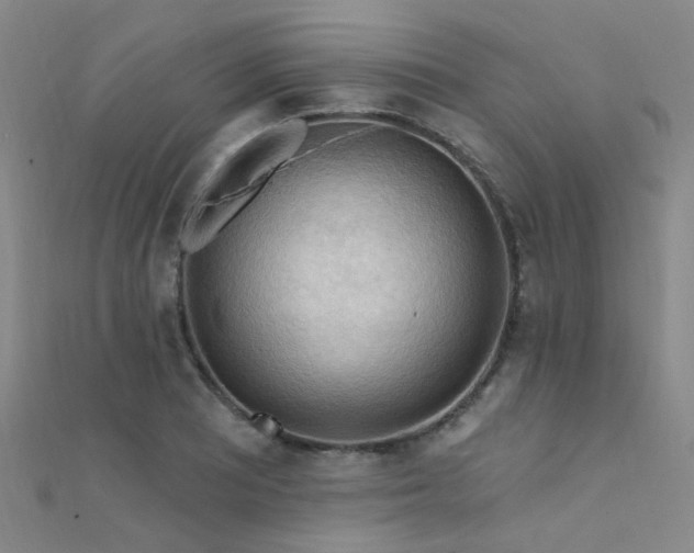 X0000112351081200908131423