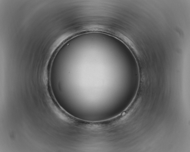 X0000112351082200908131423