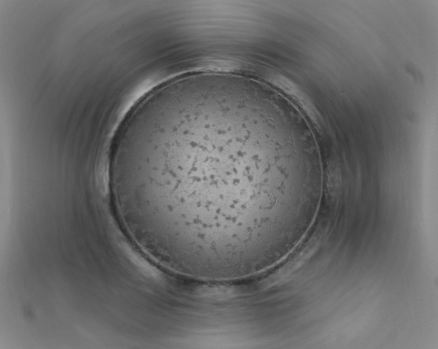 X0000112351083200908131423