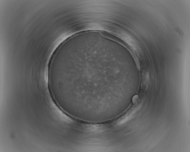 X0000112351084200908131423