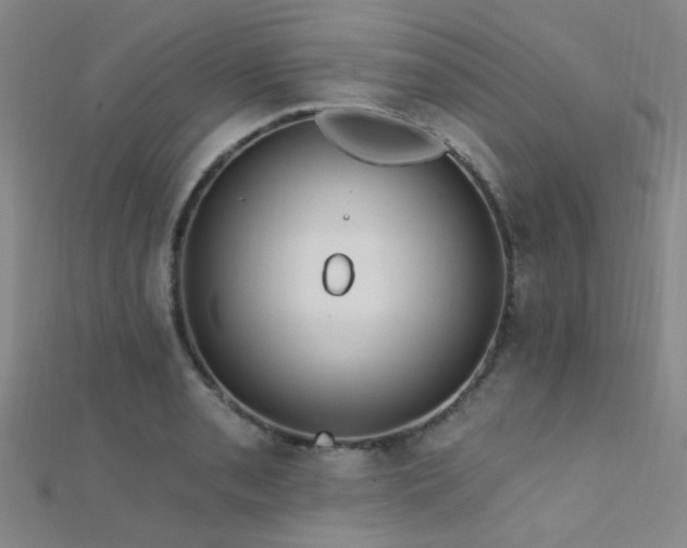 X0000112351085200908131423