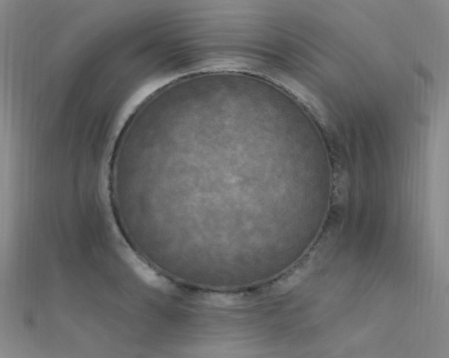 X0000112351086200908131423