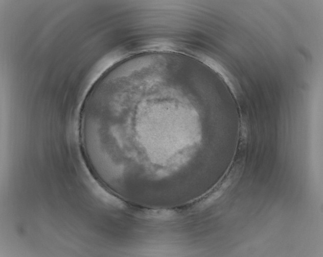 X0000112351090200908131423