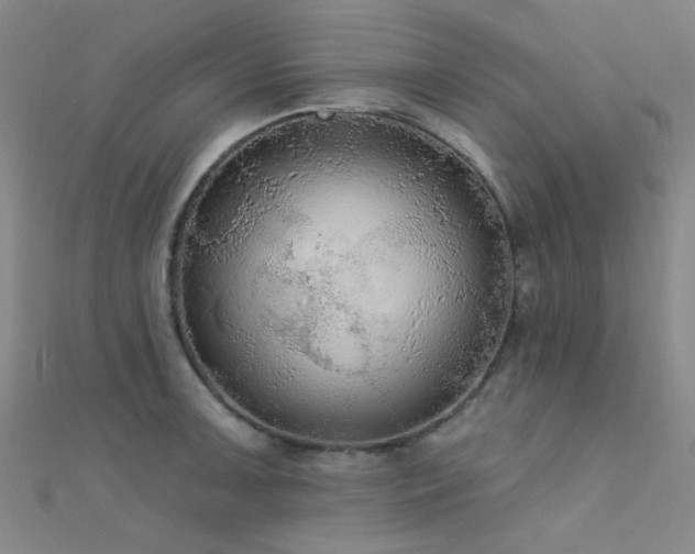 X0000112351091200908131423