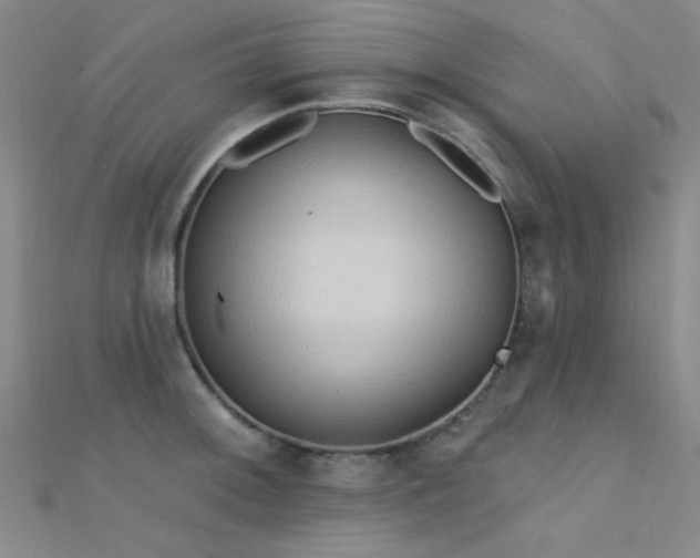 X0000112351092200908131423