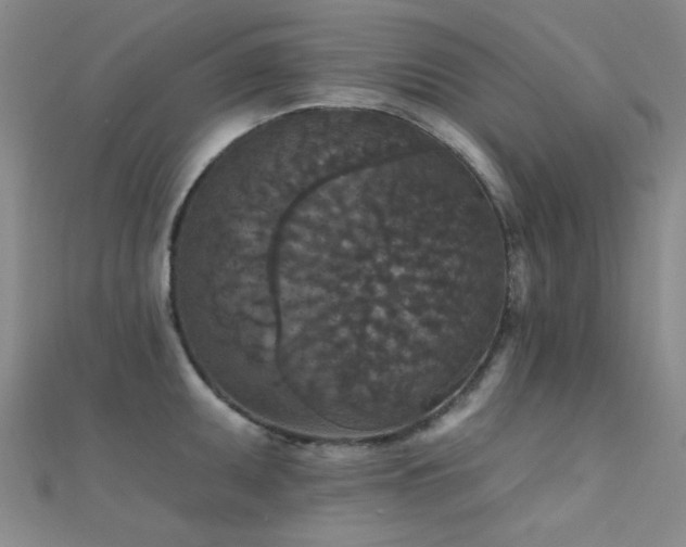 X0000112351095200908131423