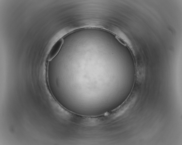 X0000112351096200908131423