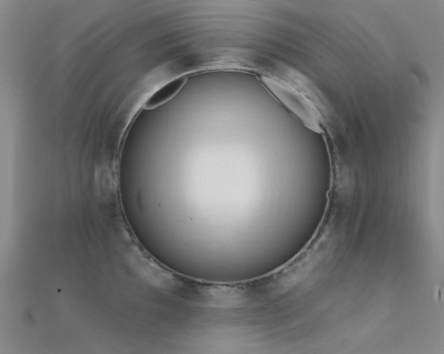 X0000112351097200908131423