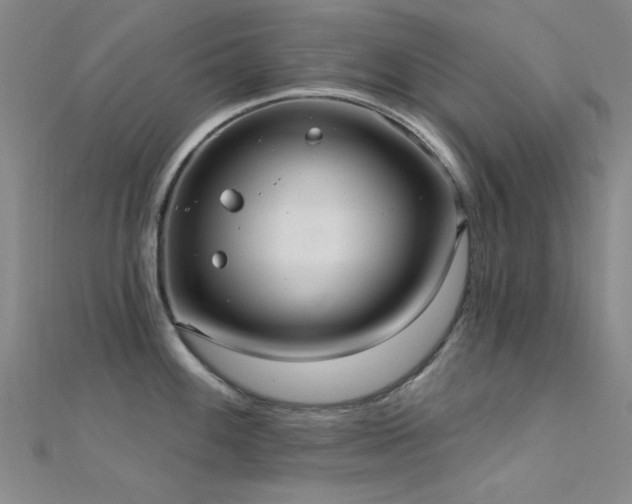 X0000112351100200908131423