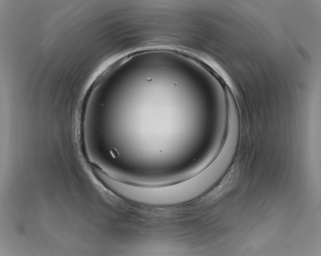 X0000112351101200908131423