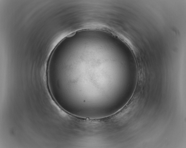 X0000112351103200908131423