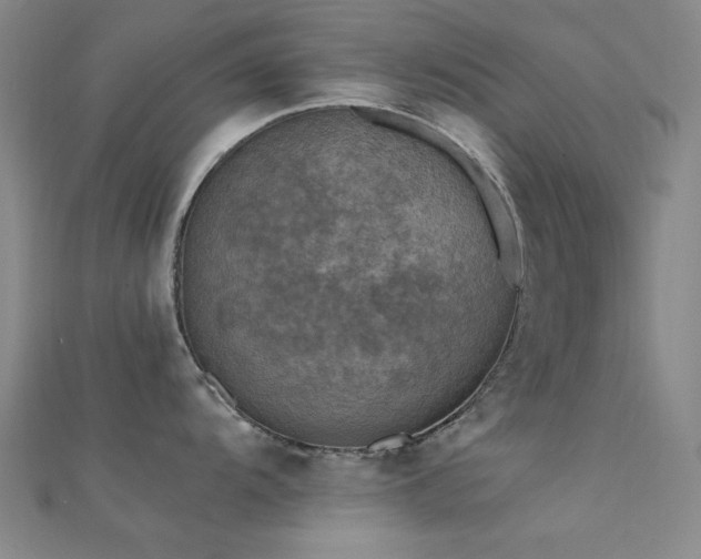 X0000112351104200908131423