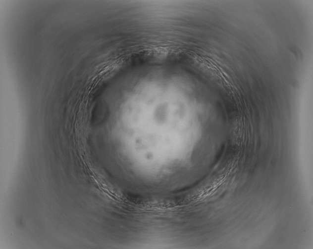 X0000112351105200908131422