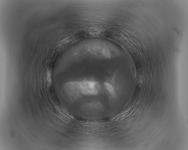 X0000112351106200908131422