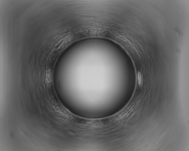 X0000112351107200908131422