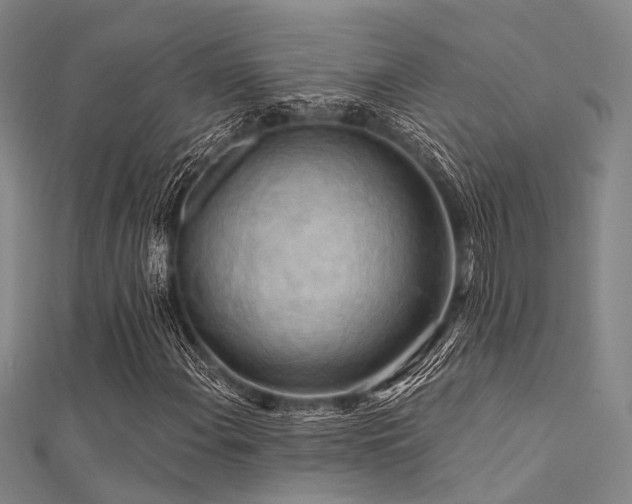 X0000112351108200908131422