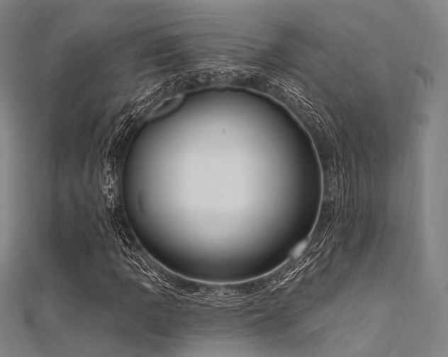 X0000112351109200908131422