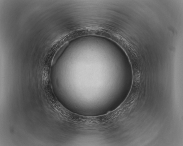 X0000112351110200908131422
