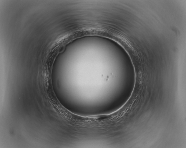 X0000112351111200908131422