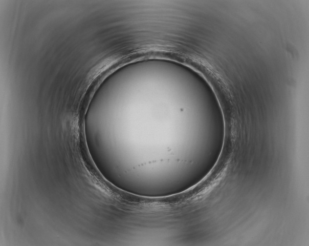 X0000112351113200908131422