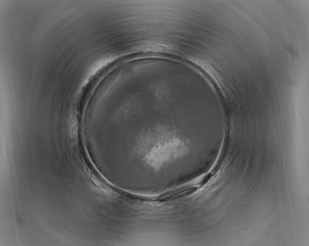 X0000112351115200908131422
