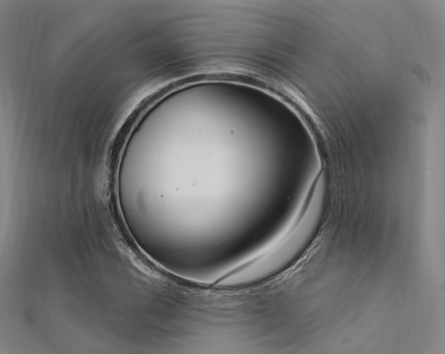 X0000112351116200908131422