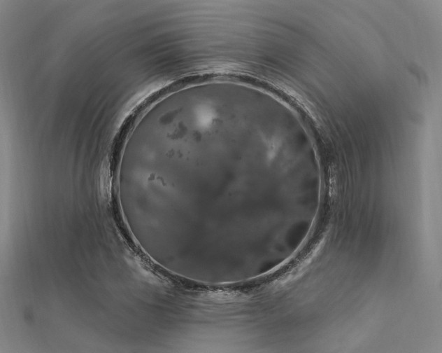 X0000112351117200908131422