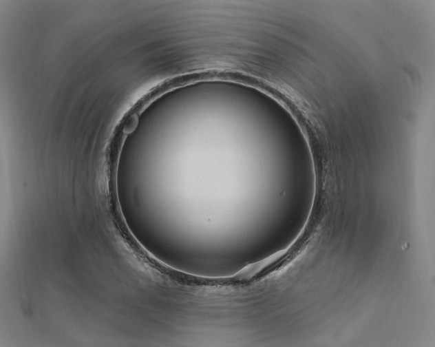 X0000112351118200908131422